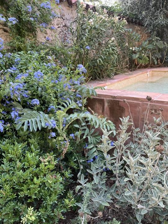 Jardin de Céret, photo 1