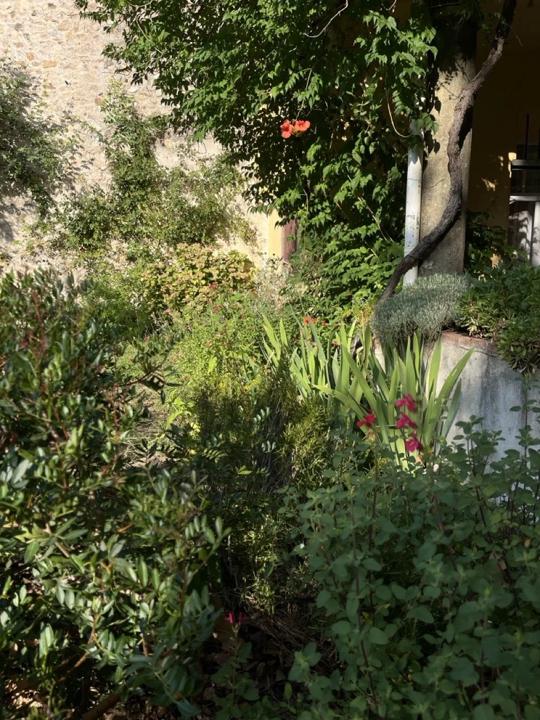 Jardin de Céret, photo 2