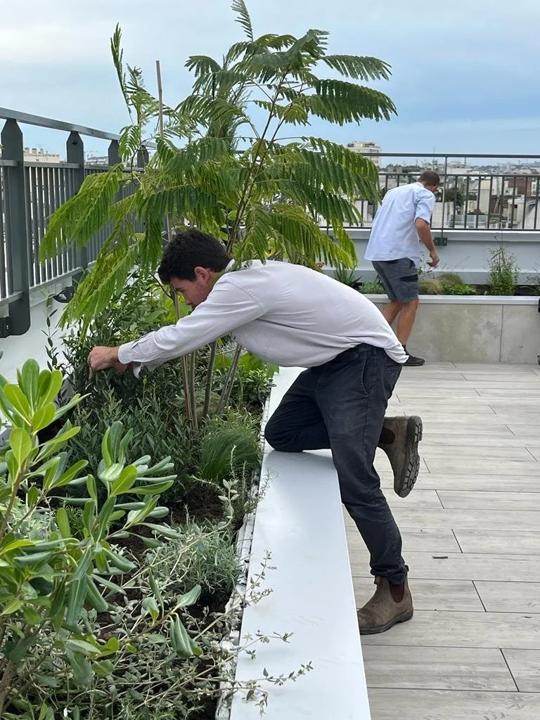 Toit-terrasse de Denfert, Paris 14e, photo 2