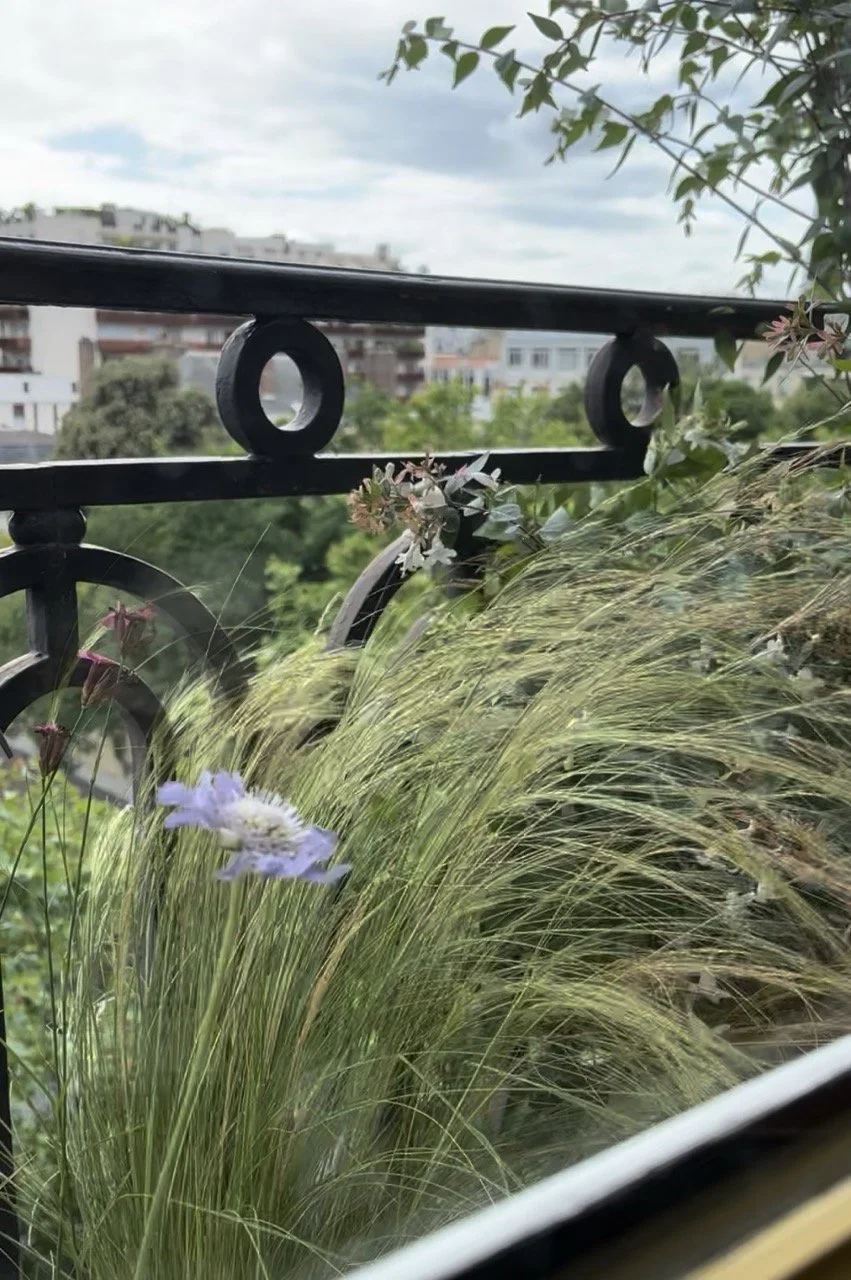 Balcon des Invalides planté de graminées, vue sur les toits