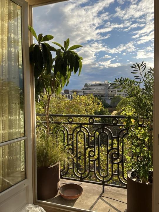 Balcons des Invalides, Paris 7e, photo 2