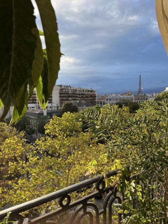 Balcons des Invalides, Paris 7e, photo 3