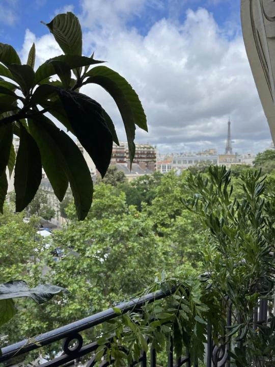 Balcon planté devant un feuillage de figuier, vue sur la tour Eiffel, Paris 7e