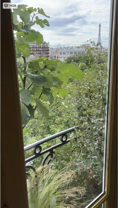 Balcons des Invalides, Paris 7e, photo 7