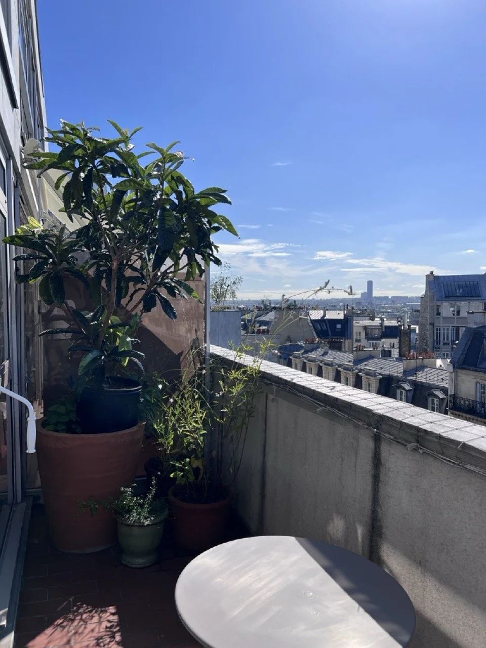 Balcon des Martyrs : néflier du Japon en pot et vue sur Paris