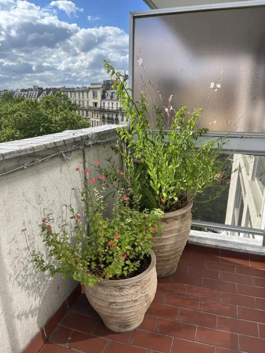 Balcon des Martyrs, Paris 9e, photo 9