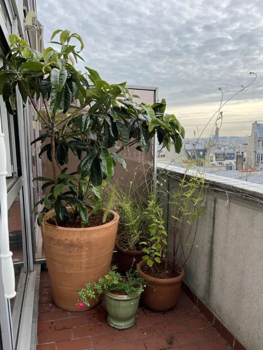 Balcon des Martyrs, Paris 9e, photo 13