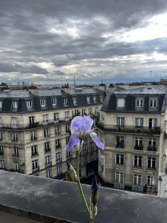 Balcon des Martyrs, Paris 9e, photo 16