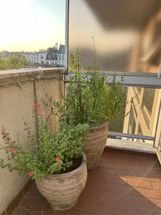 Balcon des Martyrs, Paris 9e, photo 17