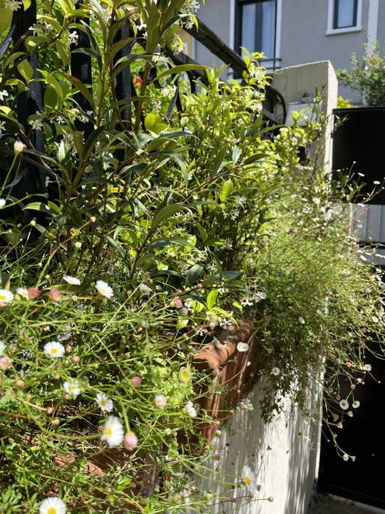 Terrasse de la Mouzaïa, Paris 19e, photo 6