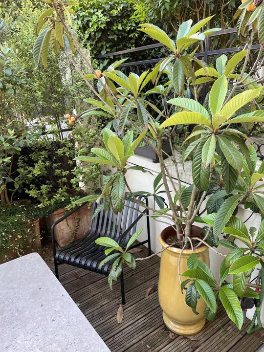 Terrasse de la Mouzaïa, Paris 19e, photo 7
