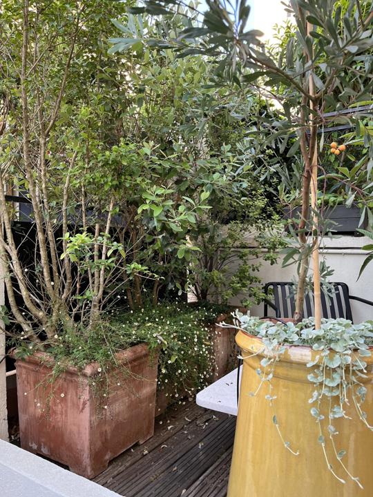 Terrasse de la Mouzaïa, Paris 19e, photo 9