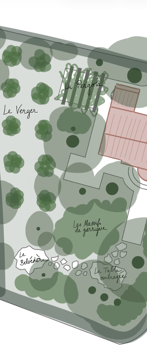 Plan croquis d'un jardin : verger, pergola, massifs de garrigue et table